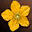 flower_yellow.jpg