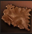 image77ee1f01436458dd.png