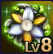 Brooch - 8 lvl.