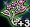 198F22B3-76AF-4DC8-94AD-EEFB4F1493AF.png