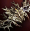2BC07F8D-CDCF-4910-B73F-B6EFCD8DBE21.png