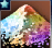 ECF7C505-DE2A-4AEE-B321-E5F7A641318A.png